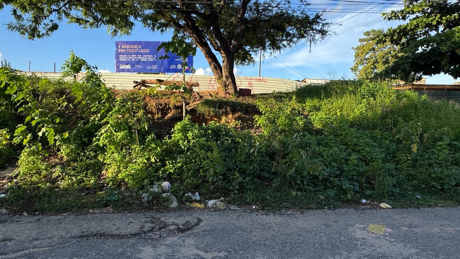 Mato em Rio Doce aparece acumulado às margens da Rua Treze, na 4ª Etapa de Olinda, com lixo em alguns trechos.