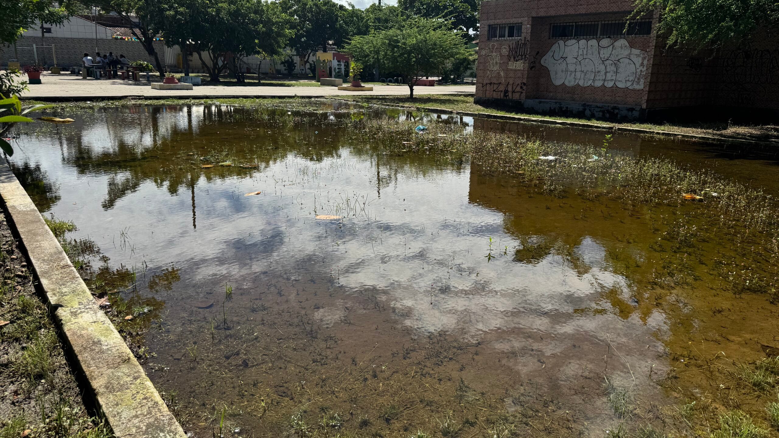 Praça alagada e buracos expõem problemas na Rua das Tulipas em Rio Doce