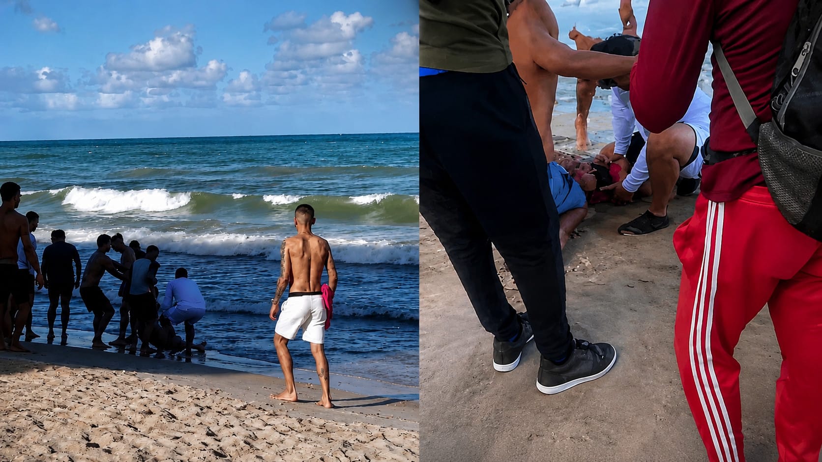 Novo caso com tubarão em Boa Viagem acende alerta no Recife