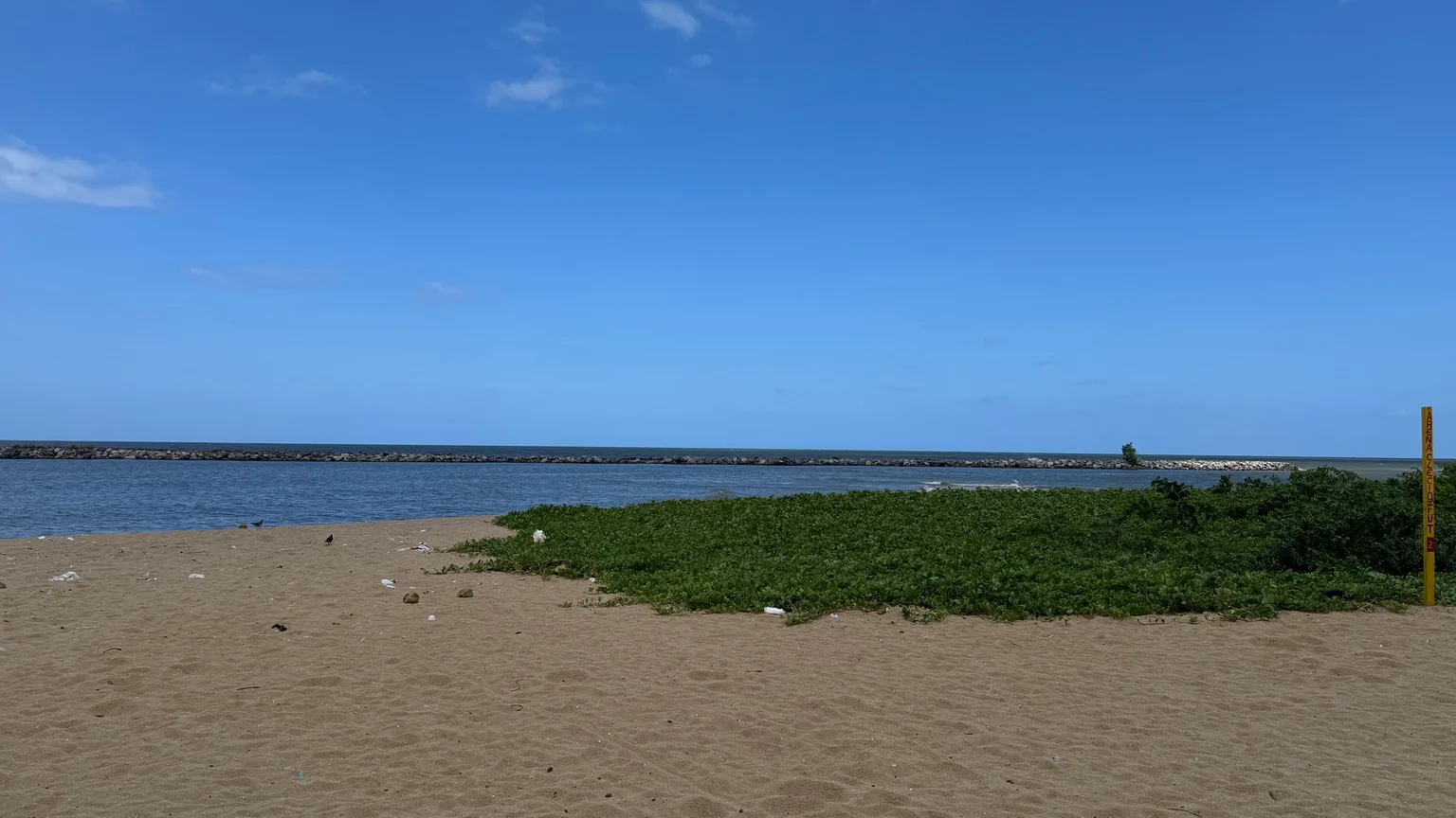 Praia do Janga com resíduos espalhados pela faixa de areia durante apuração