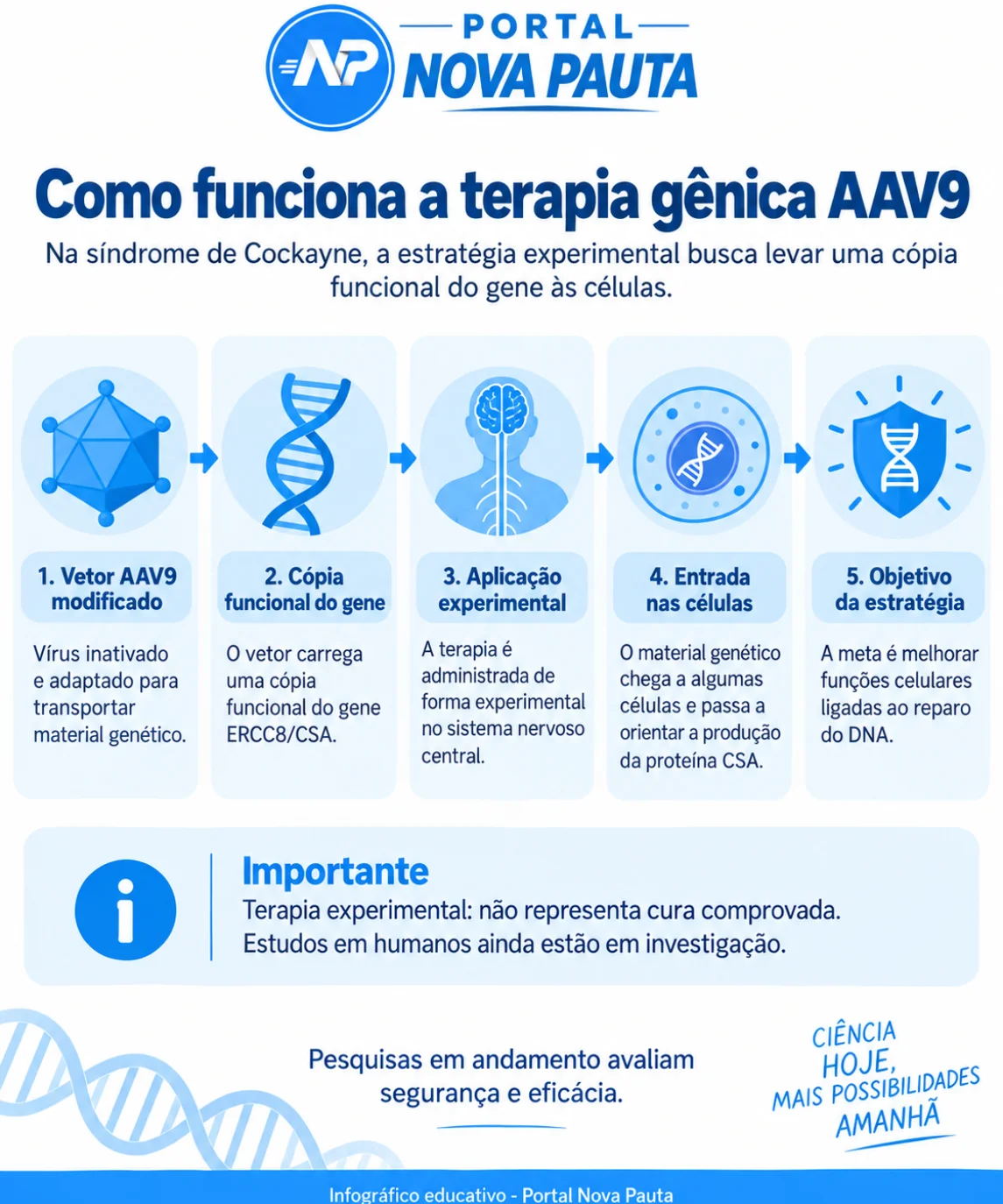Terapia gênica AAV9 experimental explicada em infográfico